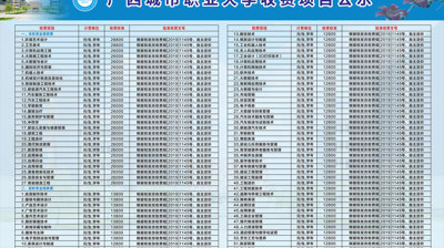 2024年买球,买球(中国)收费项目公示